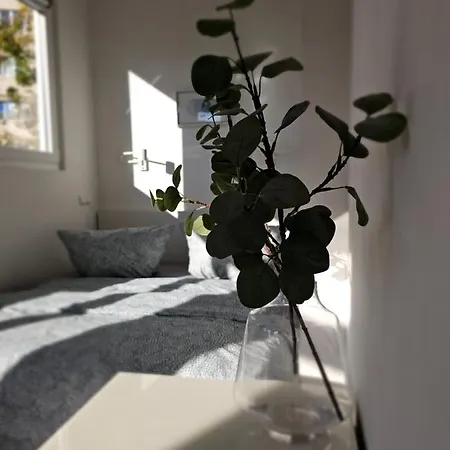 Stayinn Zentrum Sued Mit Kueche, Waschmaschine, Bad, Wifi, Flat Tv Usw * Leipzig